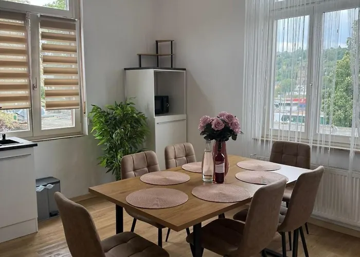 Apartamento Schickes Am Rhein Mit Rheinblick 4